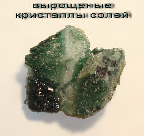подделка-17.jpg