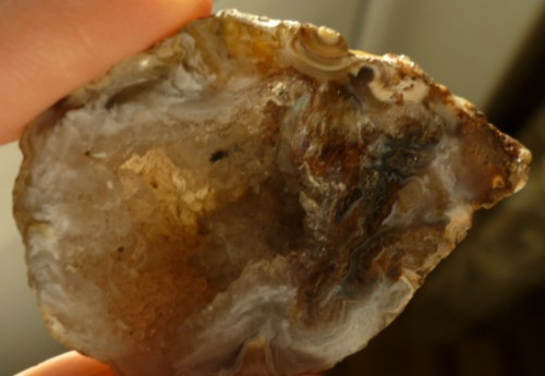 P1010639.JPG