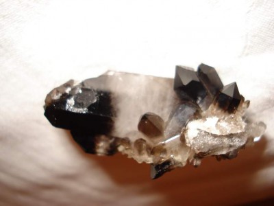 Morion7_thumb.jpg