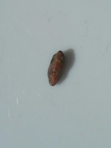 20150706_121621-1.jpg