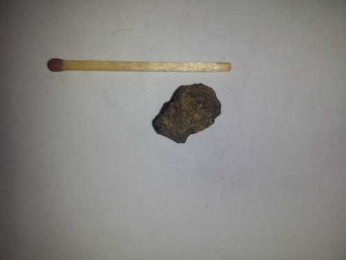 20151008_210339.jpg
