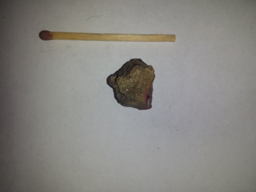 20151008_210436.jpg