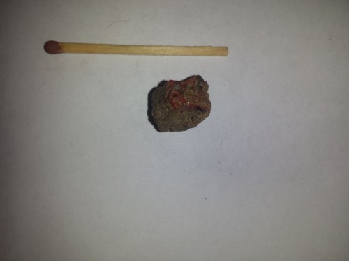 20151008_210451.jpg