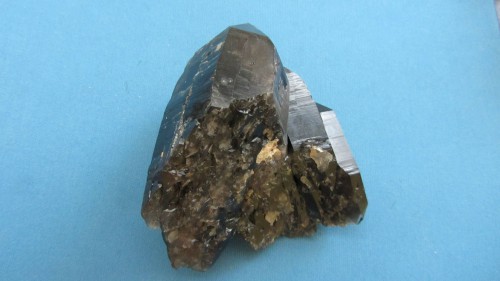 морион ли-1.jpg