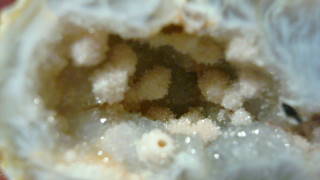 DSC06784.jpg