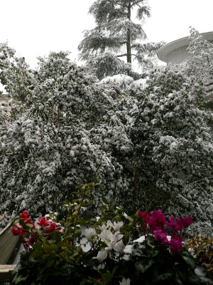 P1090553.JPG