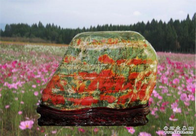 20100814122611515.jpg