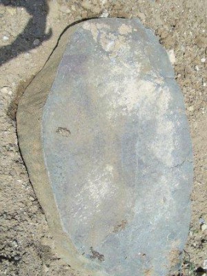 SA400348.JPG