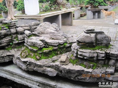 20101120082459265.jpg