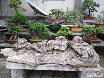 20101120042831687.jpg