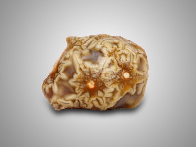 2010081723115636.jpg