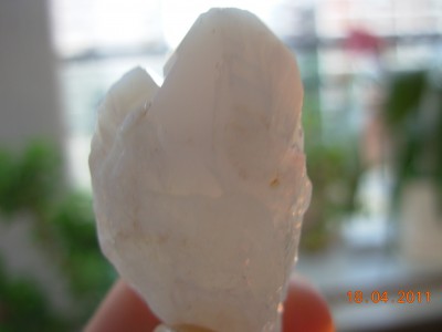 DSCN5406.JPG