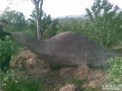 20110419065405984.jpg