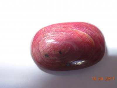 DSCN5444.JPG