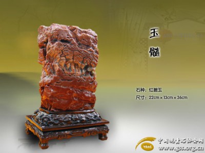 201001271201507615.jpg