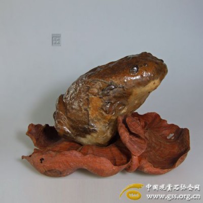 201008061111387310.jpg