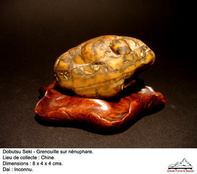 6-picture2.jpg