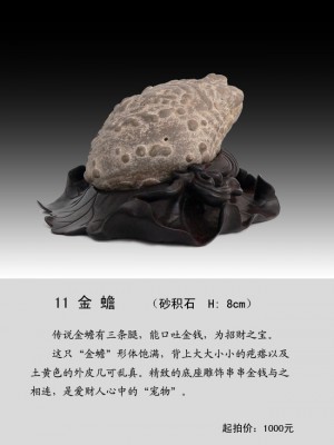 img101069_10.jpg