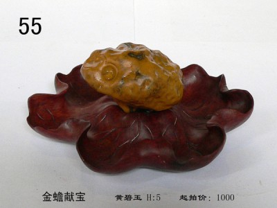 img101124_14.jpg