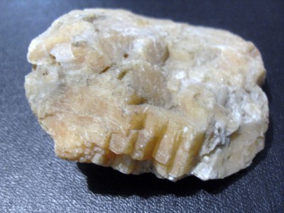 SDC10372.JPG