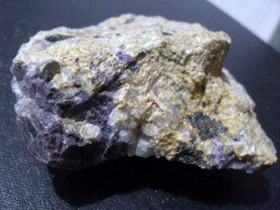 SDC10413.JPG