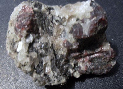 SDC10439.JPG