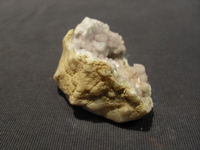 SDC10460.JPG