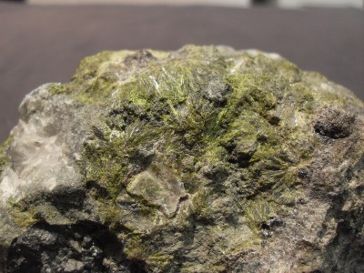 SDC10467.JPG