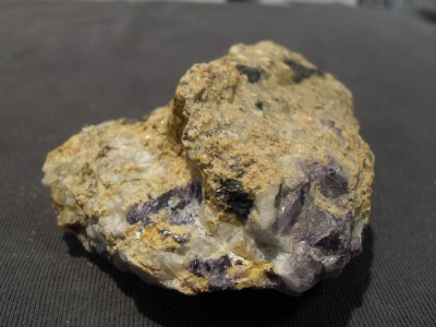SDC10473.JPG
