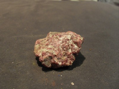 SDC10484.JPG