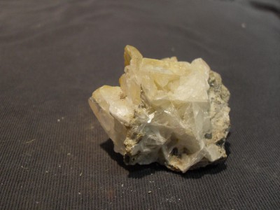 SDC10537.JPG