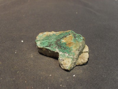 SDC10544.JPG