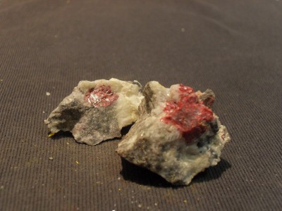 SDC10557.JPG