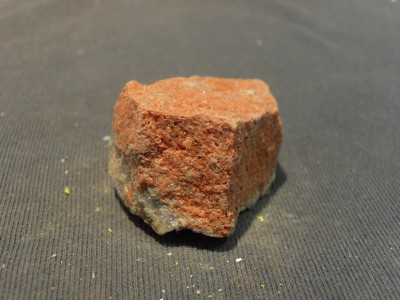 SDC10561.JPG