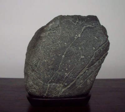 И а 1995.jpg