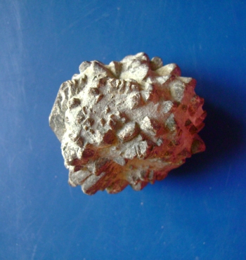 DSC01944.JPG