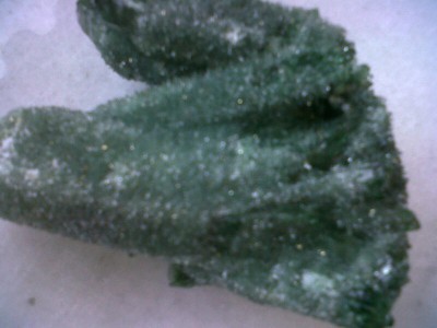IMG01055-20120602-1736.jpg