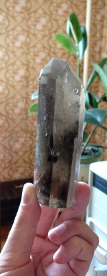 36.Дымчатый кварц,110х35х34 мм, мест.-р.-е Желанное, Приполярный Урал, ест.-е осв.-е..JPG