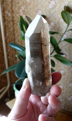 38.Дымчатый кварц,110х35х34 мм, мест.-р.-е Желанное, Приполярный Урал, ест.-е осв.-е..JPG