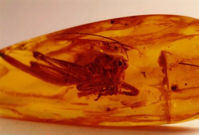 камень (183).jpg