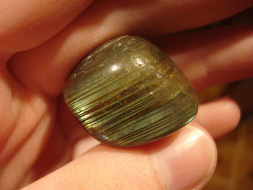 09 008_thumb.jpg