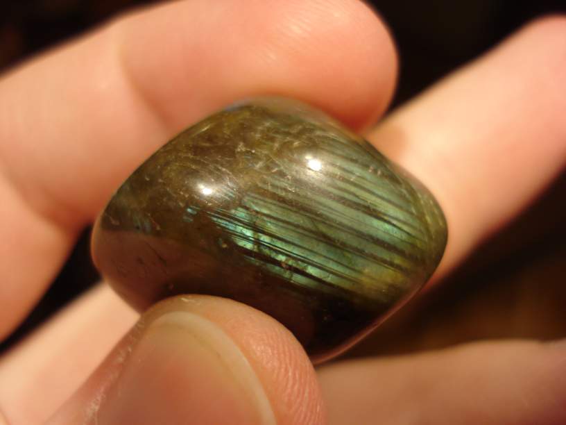 09 010_thumb.jpg