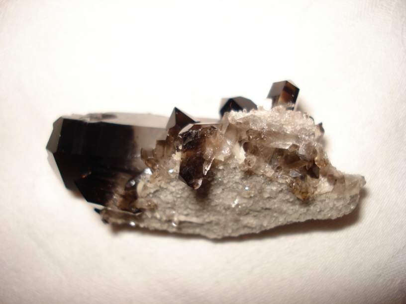 Morion6_thumb.jpg