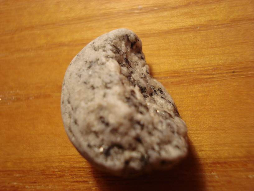 Pljaz 012_thumb.jpg