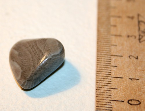 3vat_4501.jpg
