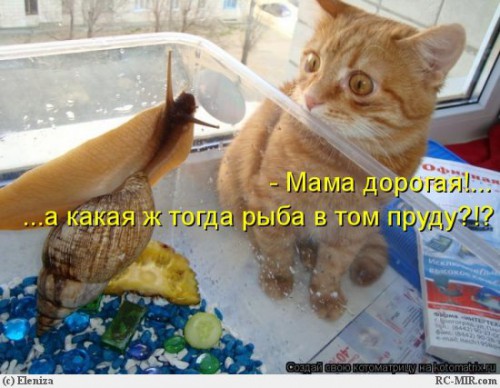 улитки-4.jpg