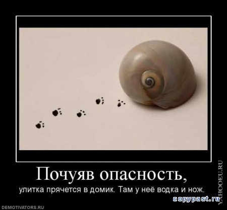 улитки-3.jpg