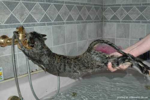 мыться.jpg