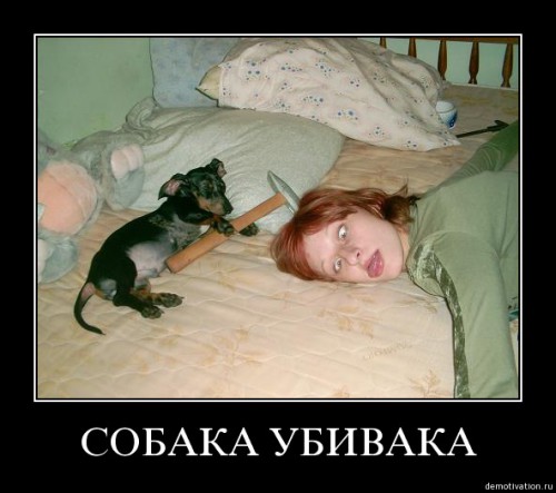 звериная тема-16.jpg