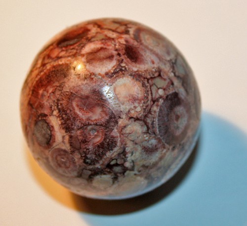 y3_5146.jpg